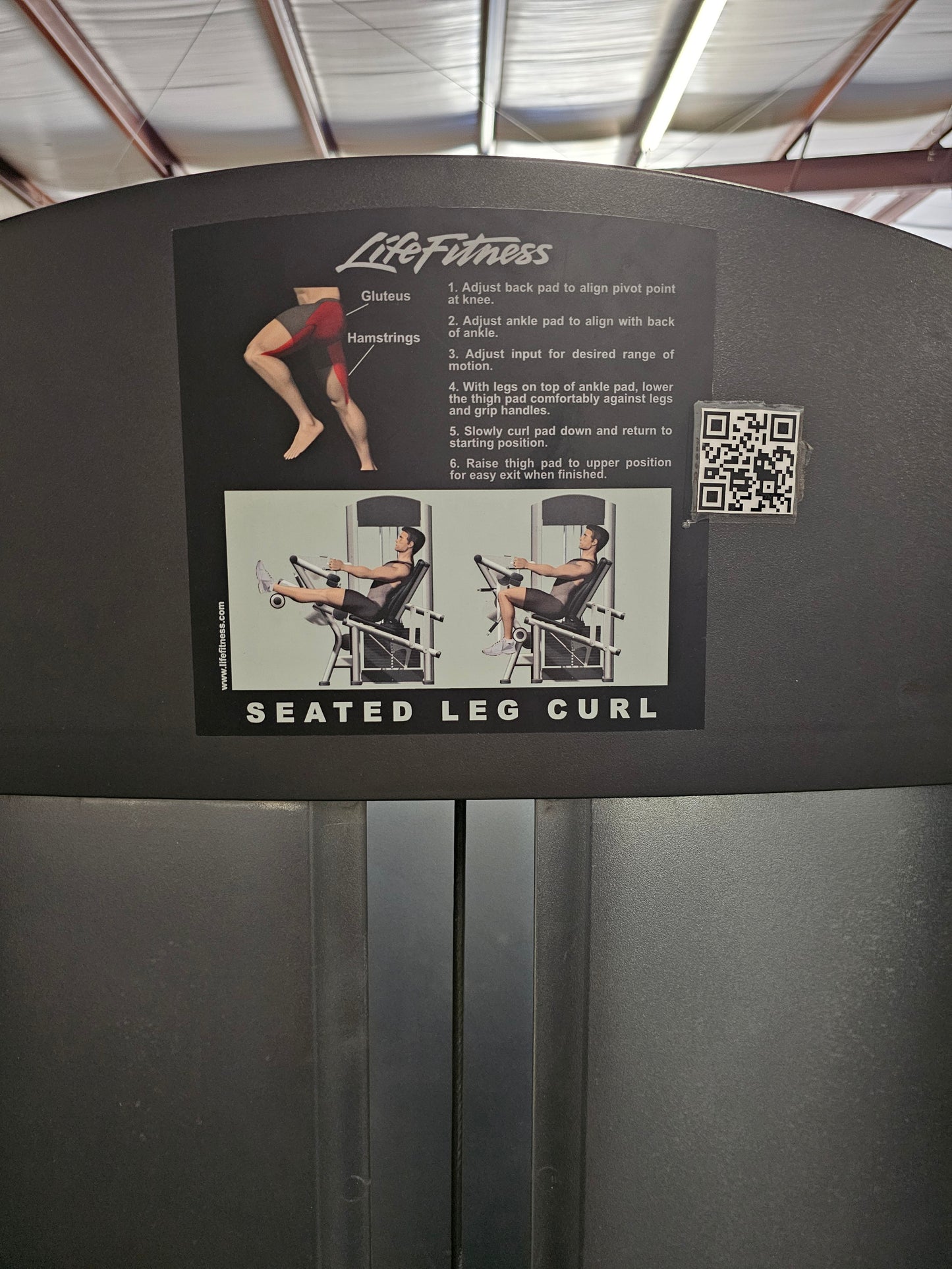 Life Fitness Seated Leg Curl